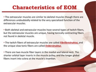 Characteristics of EOM
• The extraocular muscles are similar to skeletal muscles though there are
differences undoubtedly related to the very specialized function of the
extraocular muscles.
• Both skeletal and extraocular muscles have several types of twitch fibers,
but the extraocular muscles are unique, having tonically contracting fibers
not found in skeletal muscle.
• The twitch fibers of extraocular muscles are called Fibrillenstruktur, and
the unique slow tonic fibers are called Felderstruktur.
• There are two muscle fiber layers in the medial and lateral recti. The
shorter orbital layer inserts in the muscle pulley, and the longer global
fibers insert into sclera at the muscle’s insertion.
 