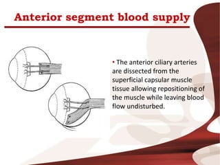 Anterior segment blood supply
• The anterior ciliary arteries
are dissected from the
superficial capsular muscle
tissue allowing repositioning of
the muscle while leaving blood
flow undisturbed.
 