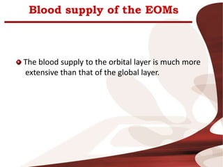 Blood supply of the EOMs
The blood supply to the orbital layer is much more
extensive than that of the global layer.
 