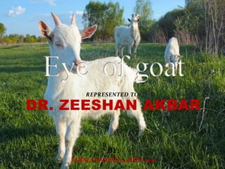 REPRESENTED TO:
DR. ZEESHAN AKBAR
BY:
FAISAL SHAHZAD 14-ARID-2022
 