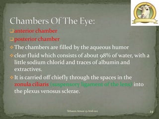 anterior chamber
posterior chamber
The chambers are filled by the aqueous humor
clear fluid which consists of about 98% of water, with a
little sodium chlorid and traces of albumin and
extractives.
It is carried off chiefly through the spaces in the
zonula ciliaris (suspensory ligament of the lens) into
the plexus venosus sclerae.
24Tehseen Anwar 13-Arid-1112
 