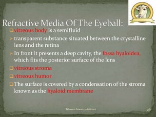 vitreous body is a semifluid
 transparent substance situated between the crystalline
lens and the retina
 In front it presents a deep cavity, the fossa hyaloidea,
which fits the posterior surface of the lens
vitreous stroma
vitreous humor
The surface is covered by a condensation of the stroma
known as the hyaloid membrane
26Tehseen Anwar 13-Arid-1112
 