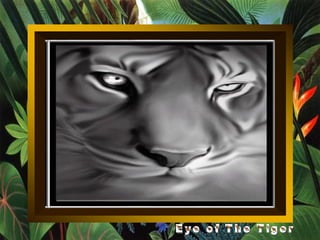 Eye of The Tiger 