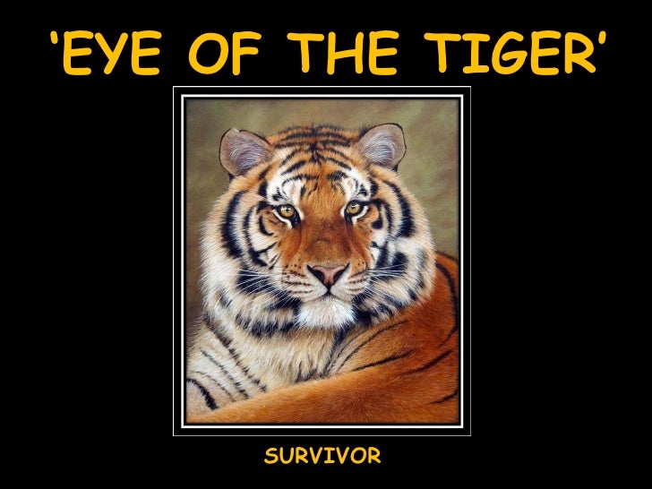 Eye of the tiger survivor download