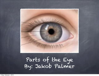 Parts of the Eye
                           By: Jakob Palmer
Friday, February 1, 2013
 