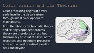 Color Mechanism Eye physiology | PPTX