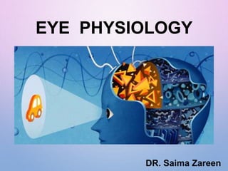 EYE PHYSIOLOGY
DR. Saima Zareen
 
