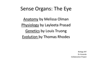Sense Organs: The Eye
 Anatomy by Melissa Olman
Physiology by Layleeta Prasad
  Genetics by Louis Truong
Evolution by Thomas Rhodes


                                         Biology 347
                                         Dr. Kusanda
                                Collaboration Project
 
