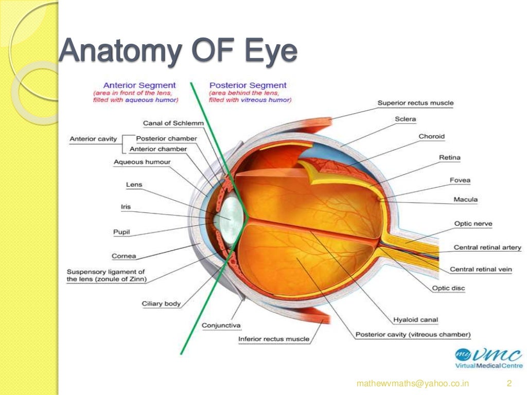 Eye assessment ppt
