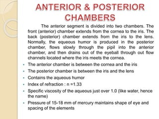 The anterior segment is divided into two chambers. The 
front (anterior) chamber extends from the cornea to the iris. The 
back (posterior) chamber extends from the iris to the lens. 
Normally, the equeous humor is produced in the posterior 
chamber, flows slowly through the pipil into the anterior 
chamber, and then drains out of the eyeball through out flow 
channels located where the iris meets the cornea. 
 The anterior chamber is between the cornea and the iris 
 The posterior chamber is between the iris and the lens 
 Contains the aqueous humor 
 Index of refraction : n =1.33 
 Specific viscosity of the aqueous just over 1.0 (like water, hence 
the name) 
 Pressure of 15-18 mm of mercury maintains shape of eye and 
spacing of the elements 
 