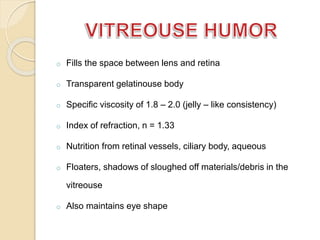o Fills the space between lens and retina 
o Transparent gelatinouse body 
o Specific viscosity of 1.8 – 2.0 (jelly – like consistency) 
o Index of refraction, n = 1.33 
o Nutrition from retinal vessels, ciliary body, aqueous 
o Floaters, shadows of sloughed off materials/debris in the 
vitreouse 
o Also maintains eye shape 
 