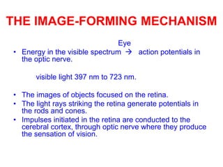 THE IMAGE-FORMING MECHANISM
Eye
• Energy in the visible spectrum  action potentials in
the optic nerve.
visible light 397 nm to 723 nm.
• The images of objects focused on the retina.
• The light rays striking the retina generate potentials in
the rods and cones.
• Impulses initiated in the retina are conducted to the
cerebral cortex, through optic nerve where they produce
the sensation of vision.
 