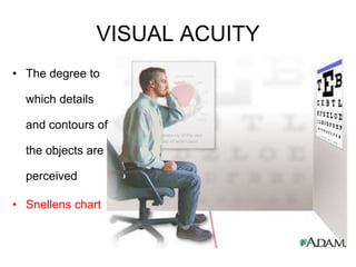 VISUAL ACUITY
• The degree to
which details
and contours of
the objects are
perceived
• Snellens chart
 