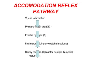 ACCOMODATION REFLEX
PATHWAY
Visual information
Primary visual area(17)
Frontal eyefield (8)
IIIrd nerve (Edinger westphal nucleus)
Ciliary muscle, Sphincter pupillae & medial
rectus
 