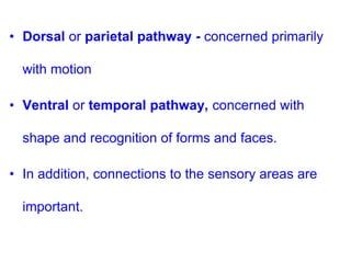 • Dorsal or parietal pathway - concerned primarily
with motion
• Ventral or temporal pathway, concerned with
shape and recognition of forms and faces.
• In addition, connections to the sensory areas are
important.
 