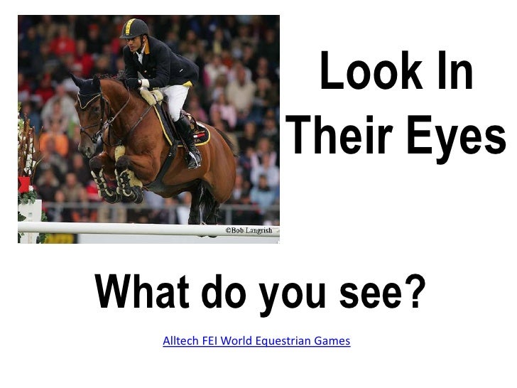 Horses Look in their eyes