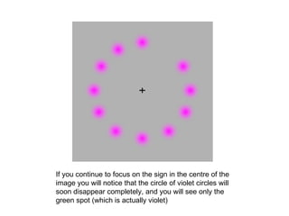 If you continue to focus on the sign in the centre of the image you will notice that?the circle of violet circles will soon?disappear completely,?and you will see only the green spot (which is actually violet)  