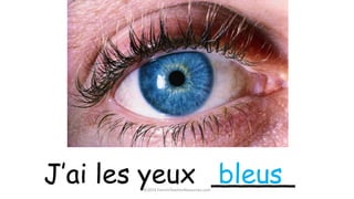 J’ai les yeux _____bleus©2014 FrenchTeacherResources.com
 