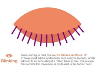 "Amazing Facts About Your Eyes"