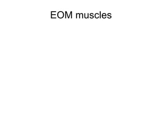 EOM muscles 