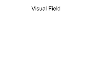 Visual Field 