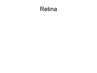 Retina 