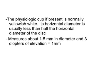 -The physiologic cup if present is normally yellowish white. Its horizontal diameter is usually less than half the horizontal diameter of the disc - Measures about 1.5 mm in diameter and 3 diopters of elevation = 1mm 