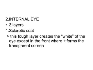 2.INTERNAL EYE 3 layers  1.Sclerotic coat > this tough layer creates the “white” of the eye except in the front where it forms the transparent cornea  