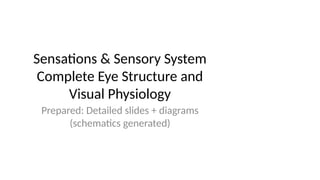 eye_sensory_presentation_for_students.pptx
