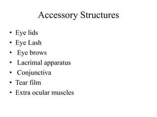Accessory Structures
• Eye lids
• Eye Lash
• Eye brows
• Lacrimal apparatus
• Conjunctiva
• Tear film
• Extra ocular muscles
 