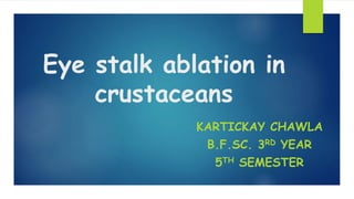 Eye stalk ablation in
crustaceans
KARTICKAY CHAWLA
B.F.SC. 3RD YEAR
5TH SEMESTER
 