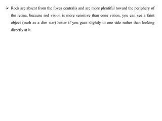  Rods are absent from the fovea centralis and are more plentiful toward the periphery of
the retina, because rod vision is more sensitive than cone vision, you can see a faint
object (such as a dim star) better if you gaze slightly to one side rather than looking
directly at it.
 