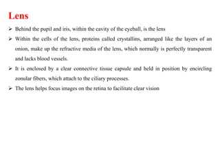 Lens
 Behind the pupil and iris, within the cavity of the eyeball, is the lens
 Within the cells of the lens, proteins called crystallins, arranged like the layers of an
onion, make up the refractive media of the lens, which normally is perfectly transparent
and lacks blood vessels.
 It is enclosed by a clear connective tissue capsule and held in position by encircling
zonular fibers, which attach to the ciliary processes.
 The lens helps focus images on the retina to facilitate clear vision
 