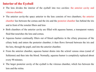 Interior of the Eyeball
 The lens divides the interior of the eyeball into two cavities: the anterior cavity and
vitreous chamber.
 The anterior cavity-the space anterior to the lens consists of two chambers; the anterior
chamber lies between the cornea and the iris and the posterior chamber lies behind the iris
and in front of the zonular fibers and lens
 Both chambers of the anterior cavity are filled with aqueous humor, a transparent watery
fluid that nourishes the lens and cornea.
 Aqueous humor continually filters out of blood capillaries in the ciliary processes of the
ciliary body and enters the posterior chamber; it then flows forward between the iris and
the lens, through the pupil, and into the anterior chamber.
 From the anterior chamber, aqueous humor drains into the scleral venous sinus (canal of
Schlemm) and then into the blood. Normally, aqueous humor is completely replaced about
every 90 minutes.
 The larger posterior cavity of the eyeball is the vitreous chamber, which lies between the
lens and the retina.
 