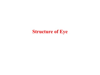 Structure of Eye
 