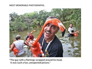 MOST MEMORABLE PHOTOGRAPHS:
“The guy with a flamingo wrapped around his head.  
It was such a fun, unexpected picture.”
 
