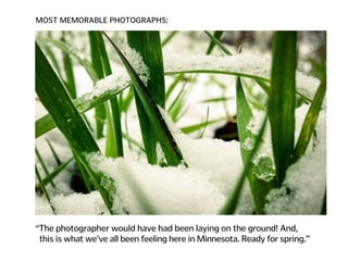 MOST MEMORABLE PHOTOGRAPHS:
“The photographer would have had been laying on the ground! And,
this is what we’ve all been feeling here in Minnesota. Ready for spring.”
 