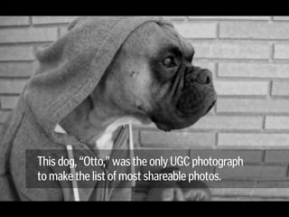 This dog, “Otto,” was the only UGC photograph  
to make the list of most shareable photos.
.
 