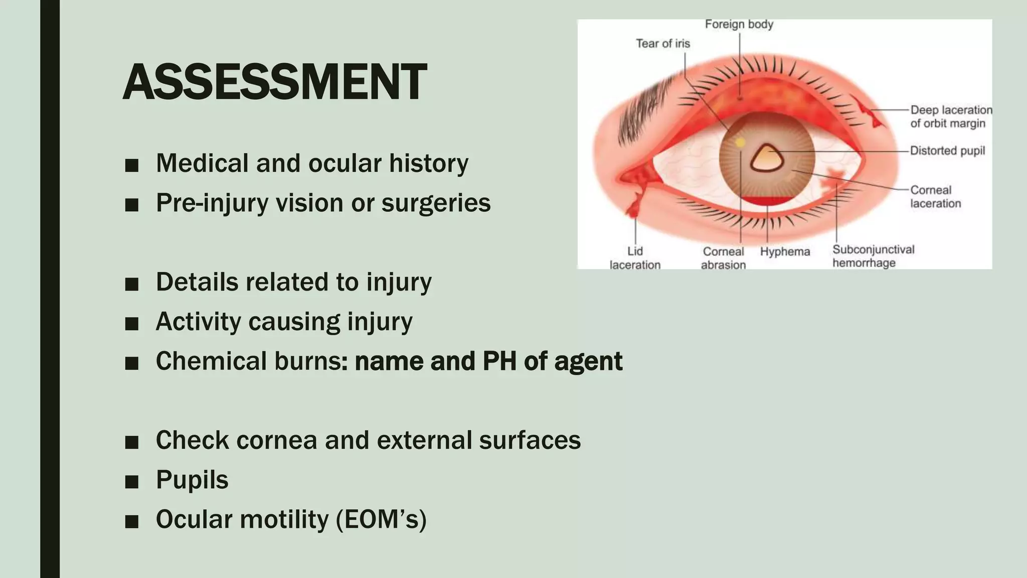 Eye trauma | PPT