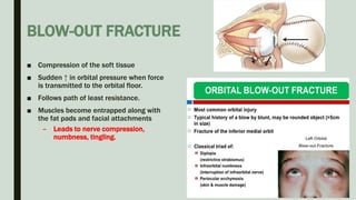 BLOW-OUT FRACTURE
■ Compression of the soft tissue
■ Sudden ↑ in orbital pressure when force
is transmitted to the orbital floor.
■ Follows path of least resistance.
■ Muscles become entrapped along with
the fat pads and facial attachments
– Leads to nerve compression,
numbness, tingling.
 