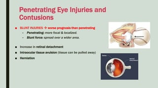 ■ BLUNT INJURIES  worse prognosis than penetrating
– Penetrating: more focal & localized.
– Blunt force: spread over a wider area.
■ Increase in retinal detachment
■ Intraocular tissue avulsion (tissue can be pulled away)
■ Herniation
Penetrating Eye Injuries and
Contusions
 
