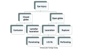 Intraocular foreign body
 