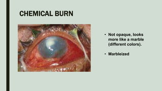 CHEMICAL BURN
• Not opaque, looks
more like a marble
(different colors).
• Marbleized
 