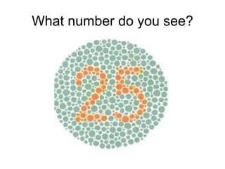 What number do you see? 