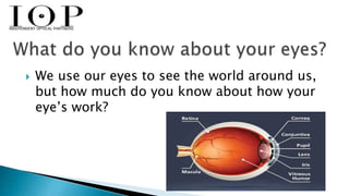  We use our eyes to see the world around us, 
but how much do you know about how your 
eye’s work? 
 