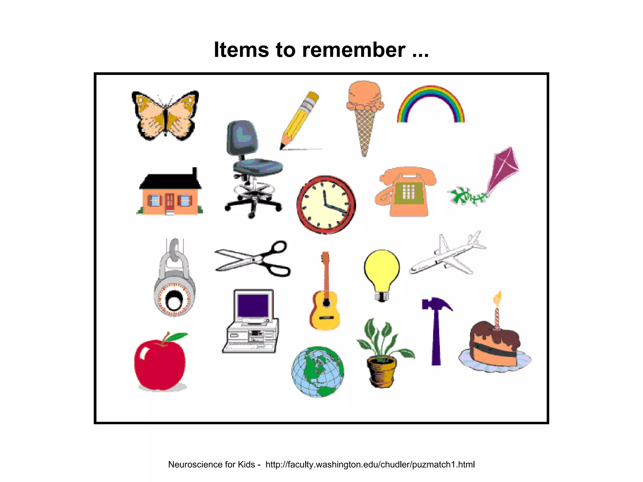Neuroscience for Kids -  http://faculty.washington.edu/chudler/puzmatch1.html Items to remember ... 