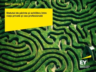 pagina 51
Statutul de părinte și echilibru între
viața privată și cea profesională
Secțiunea 5
 