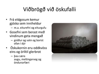 Viðbrögð við öskufalliFrá eldgosum kemur gjóska sem inniheldur m.a. eiturefni og eiturgufuGosefni sem berast með vindinum geta mengað gróður og vatn og borist ofan í dýr Öskukornin eru oddkvöss eins og örlítil glerbrotþau særa augu, meltingarveg og öndunarfæri 