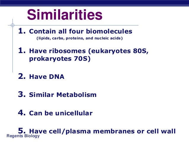 eykaryotes