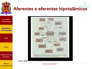 Funções do encéfalo I
Aferentes e eferentes hipotalâmicos
Hipotálamo
e homeostase
Conceitos
motivacionais
Áreas funcionais
do córtex
Sede
Fome
Sensação e
percepção
Controle
motor
Sistema
comportamental
Lent, 2010
Hipotálamo
e homeostase
Conceitos
motivacionais
Áreas funcionais
do córtex
Sede
Fome
Sistema
comportamental
 